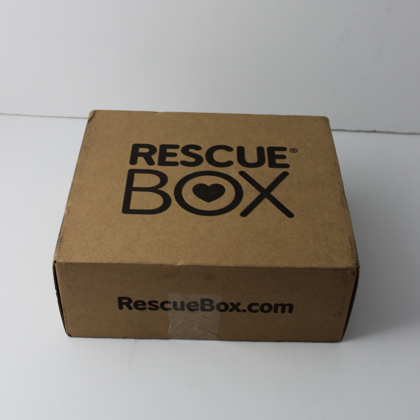 RescueBox Dog Subscription Box Review – August 2018