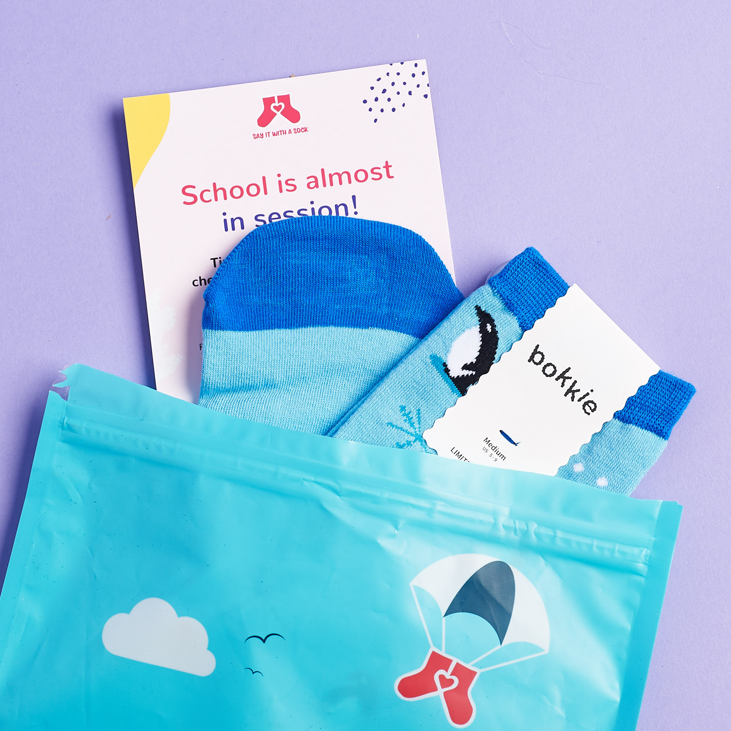 Say It With A Sock Subscription Women’s Review + Coupon – August 2018