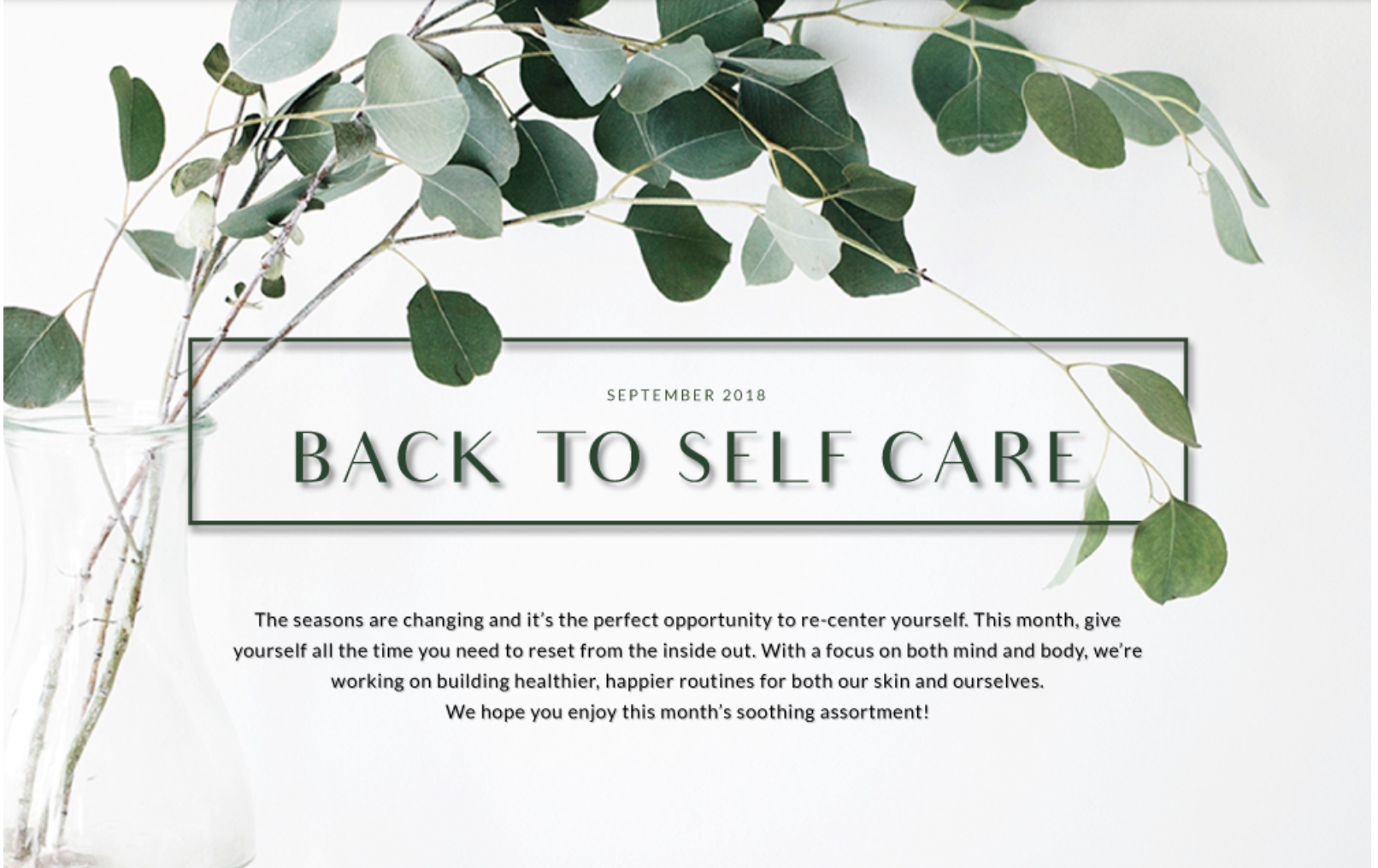 Beauteque Mask Maven & BB Bag September 2018 Theme Spoiler + Coupon!