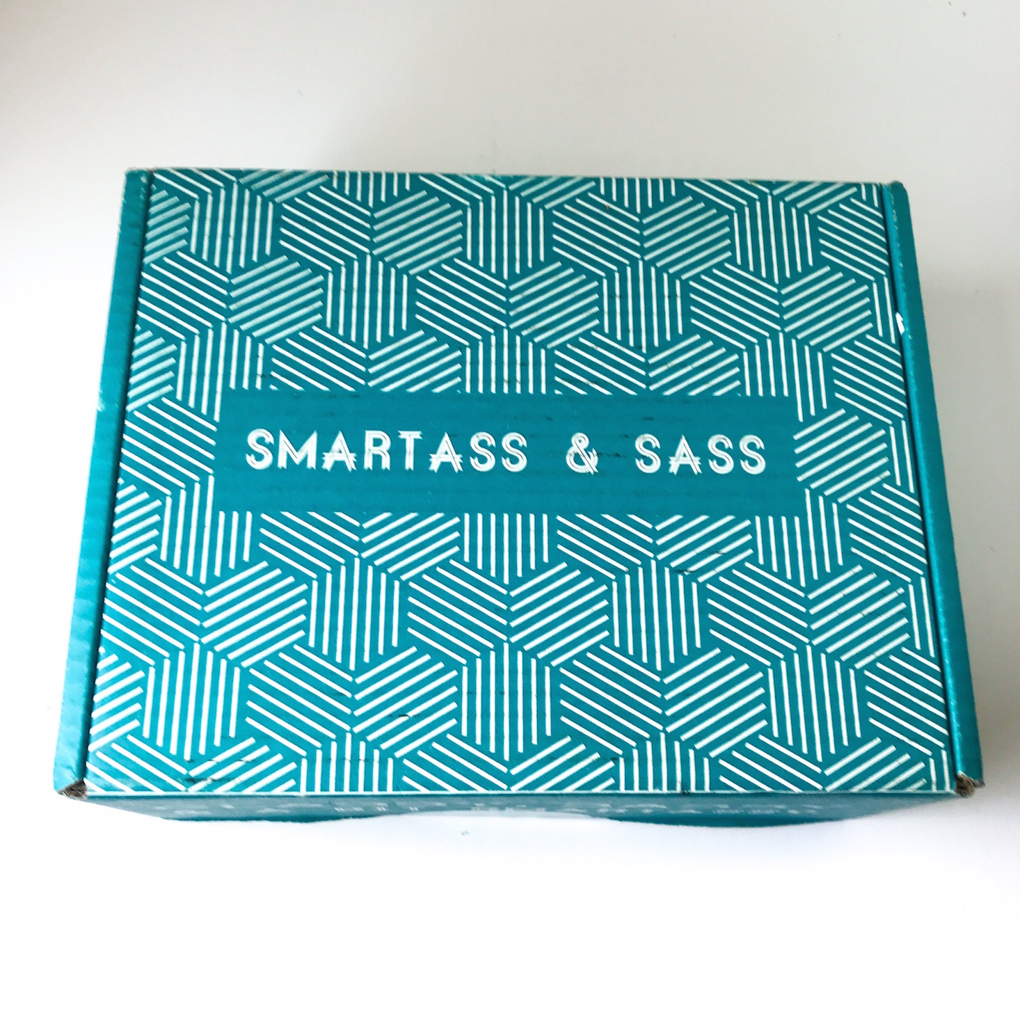 NSFW Smartass and Sass Subscription Review + Coupon – August 2018