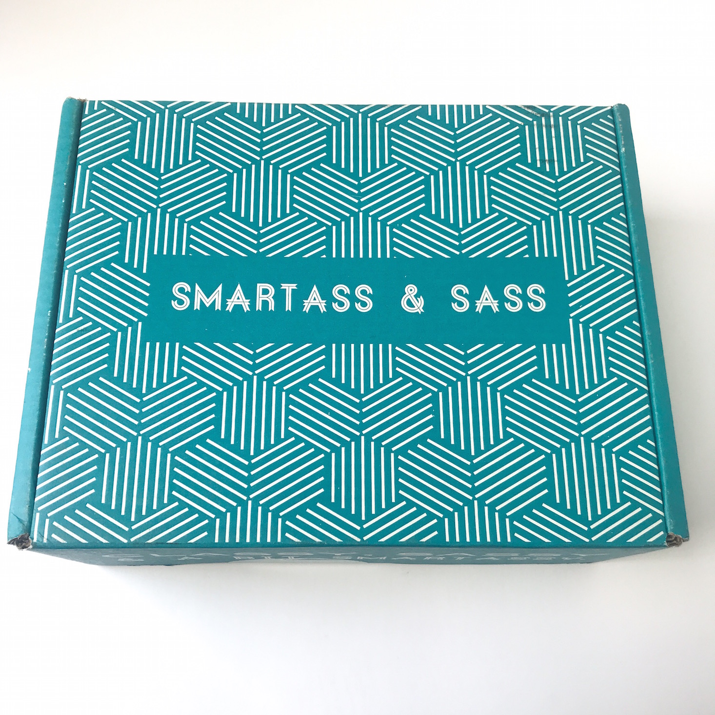 NSFW Smartass and Sass Subscription Review + Coupon – July 2018