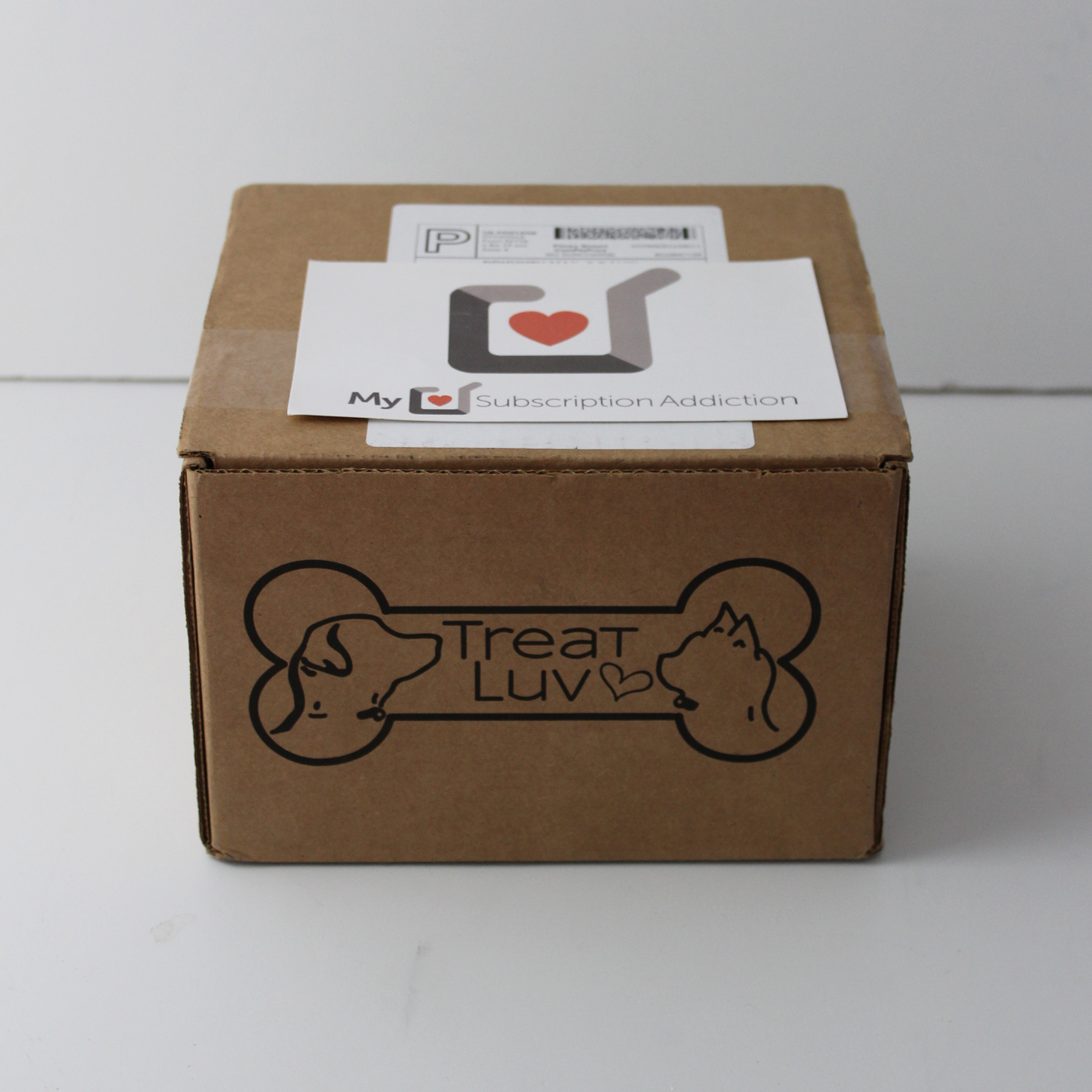 TreatLuv Cat Subscription Box Review + Coupon – July 2018