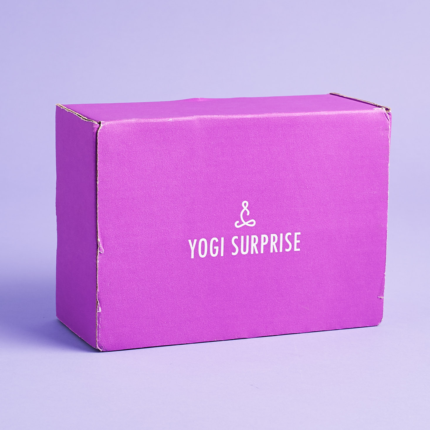 Yogi Surprise Subscription Box Review + Coupon – August 2018
