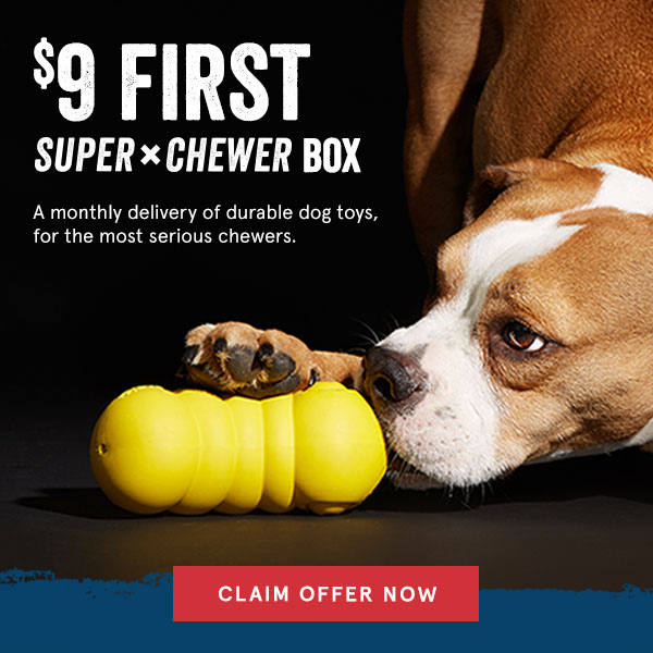 Last Day! BarkBox Coupon – First Super Chewer Box for $9!