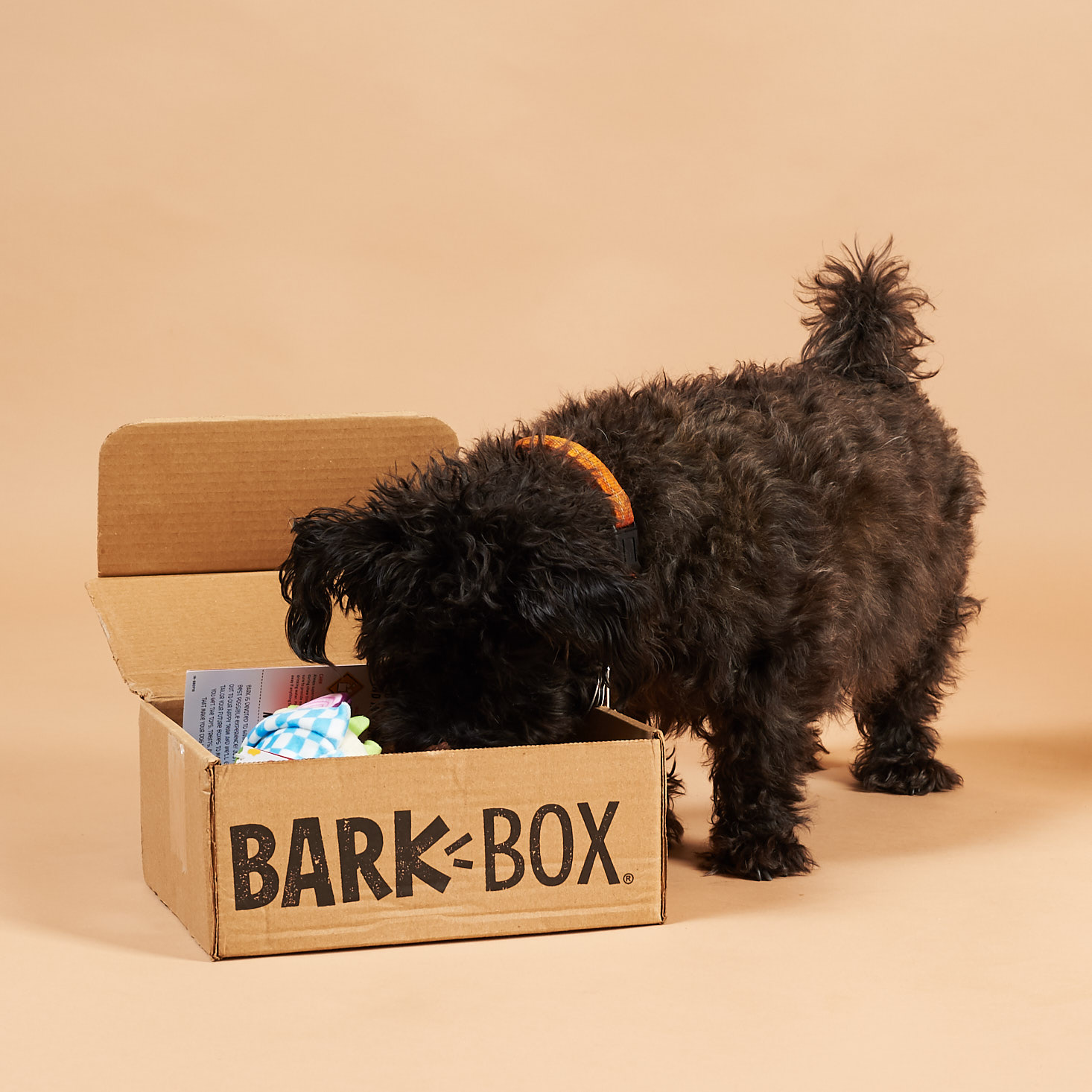 BarkBox Subscription Box Review + Coupon – September 2018