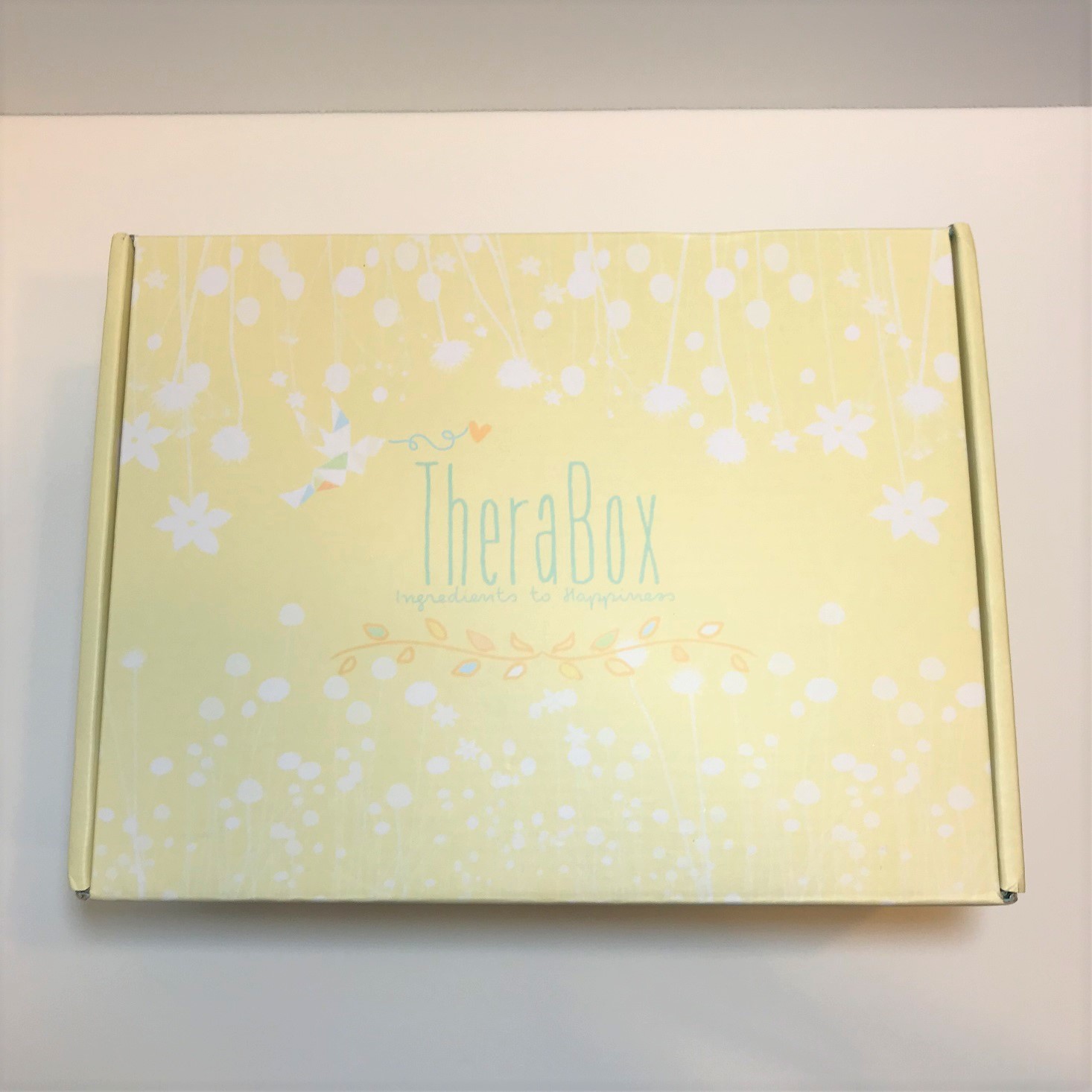 TheraBox Subscription Box Review + Coupon – August 2018