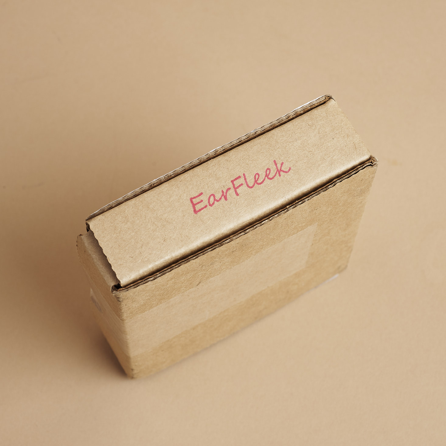 EarFleek Premier Tier Minimalist, But Groovy Earrings Review – September 2018