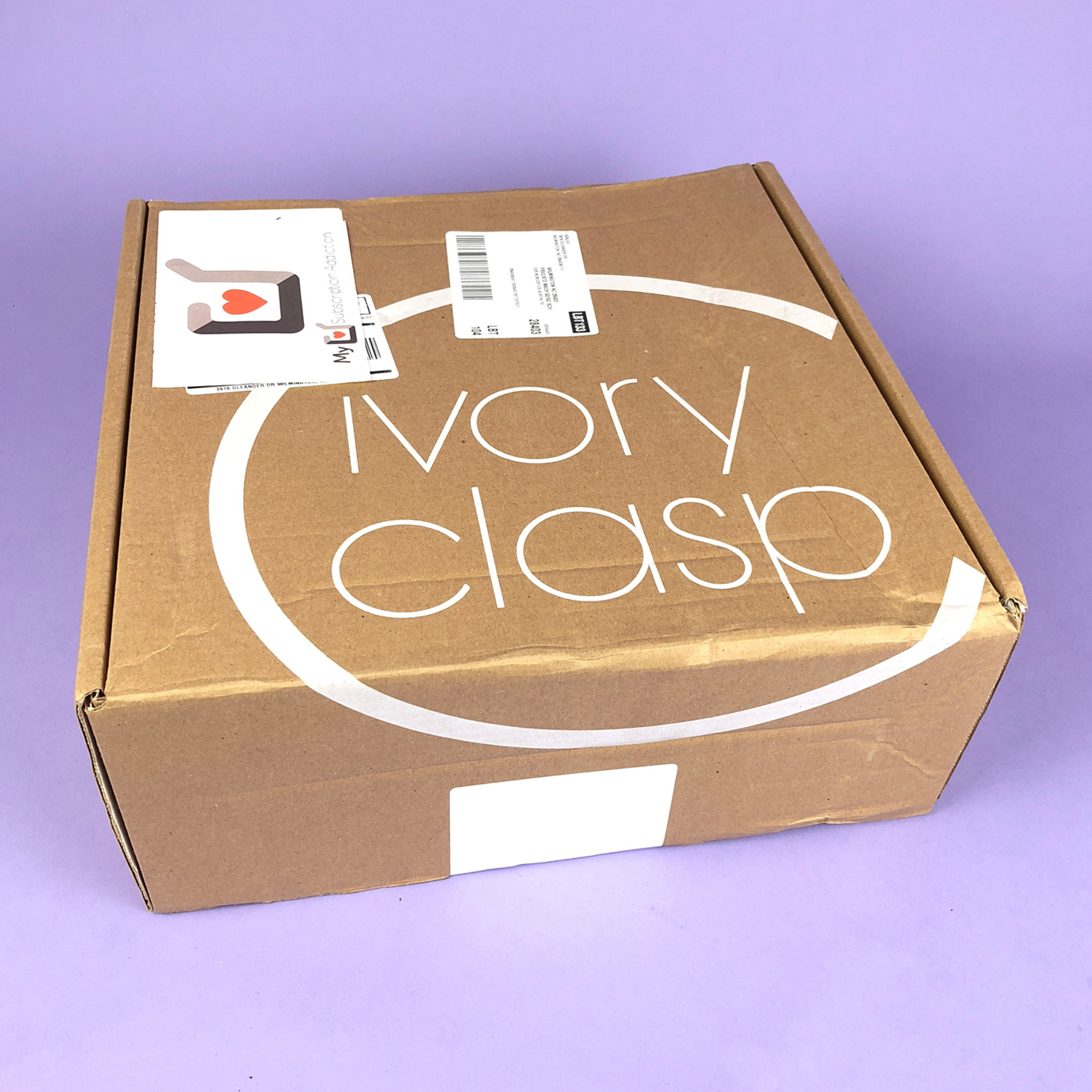 Ivory Clasp Handbag Review + Coupon – September 2018