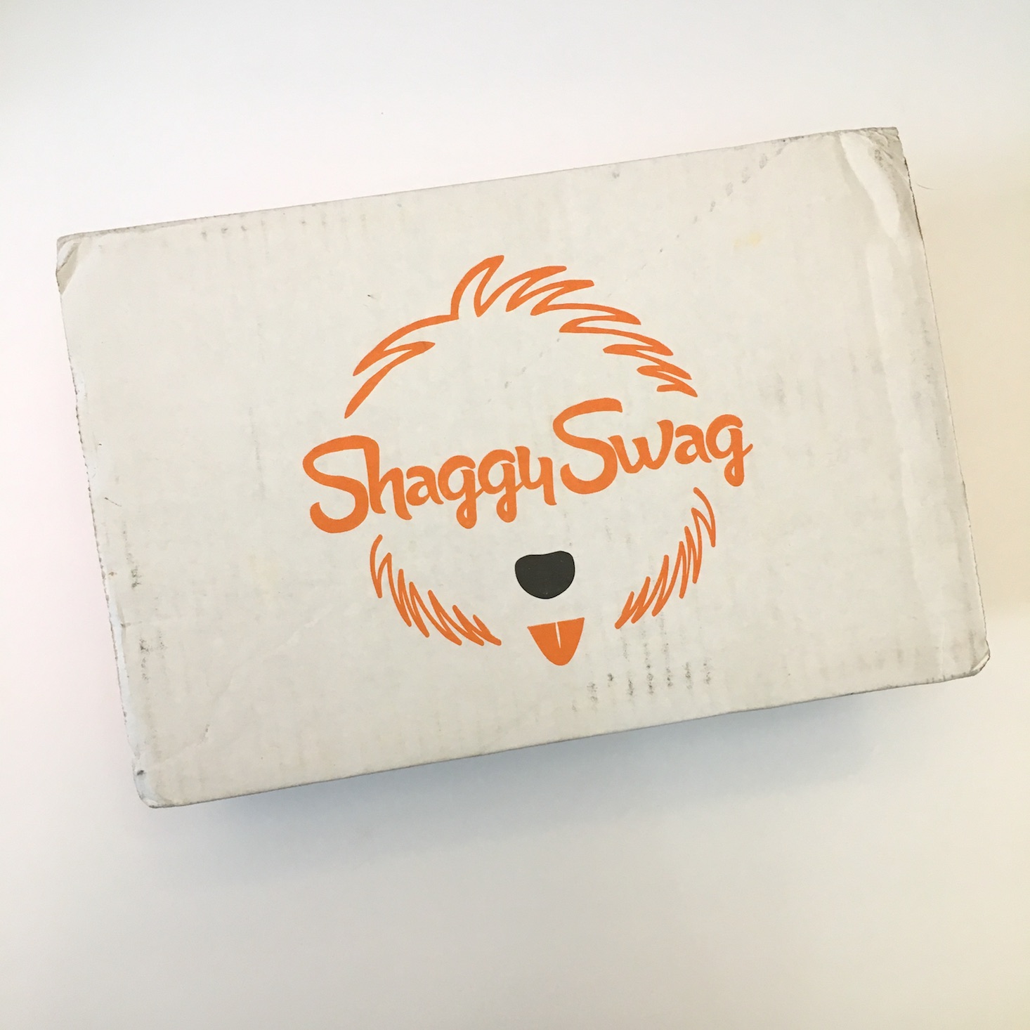 ShaggySwag Dog Subscription Review + Coupon – September 2018