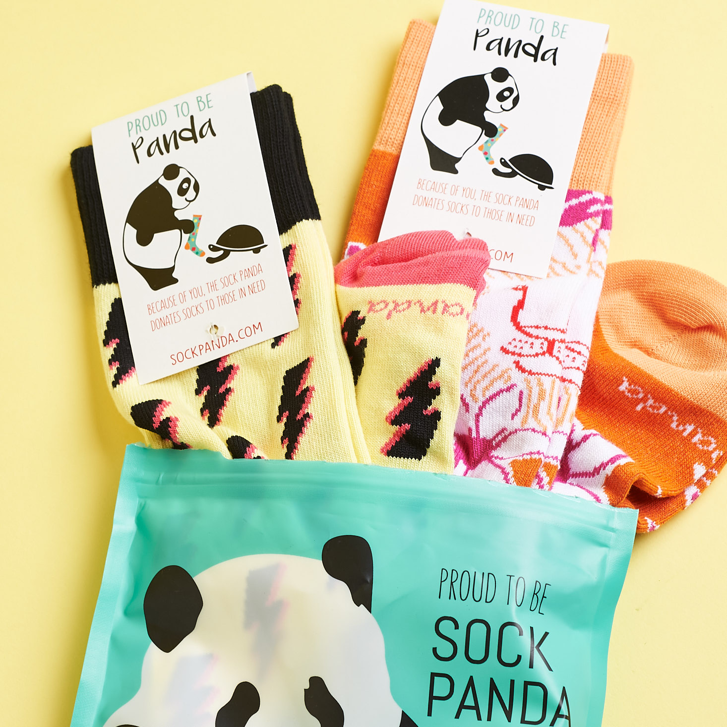 Sock Panda for Women Subscription Review + Coupon – September 2018