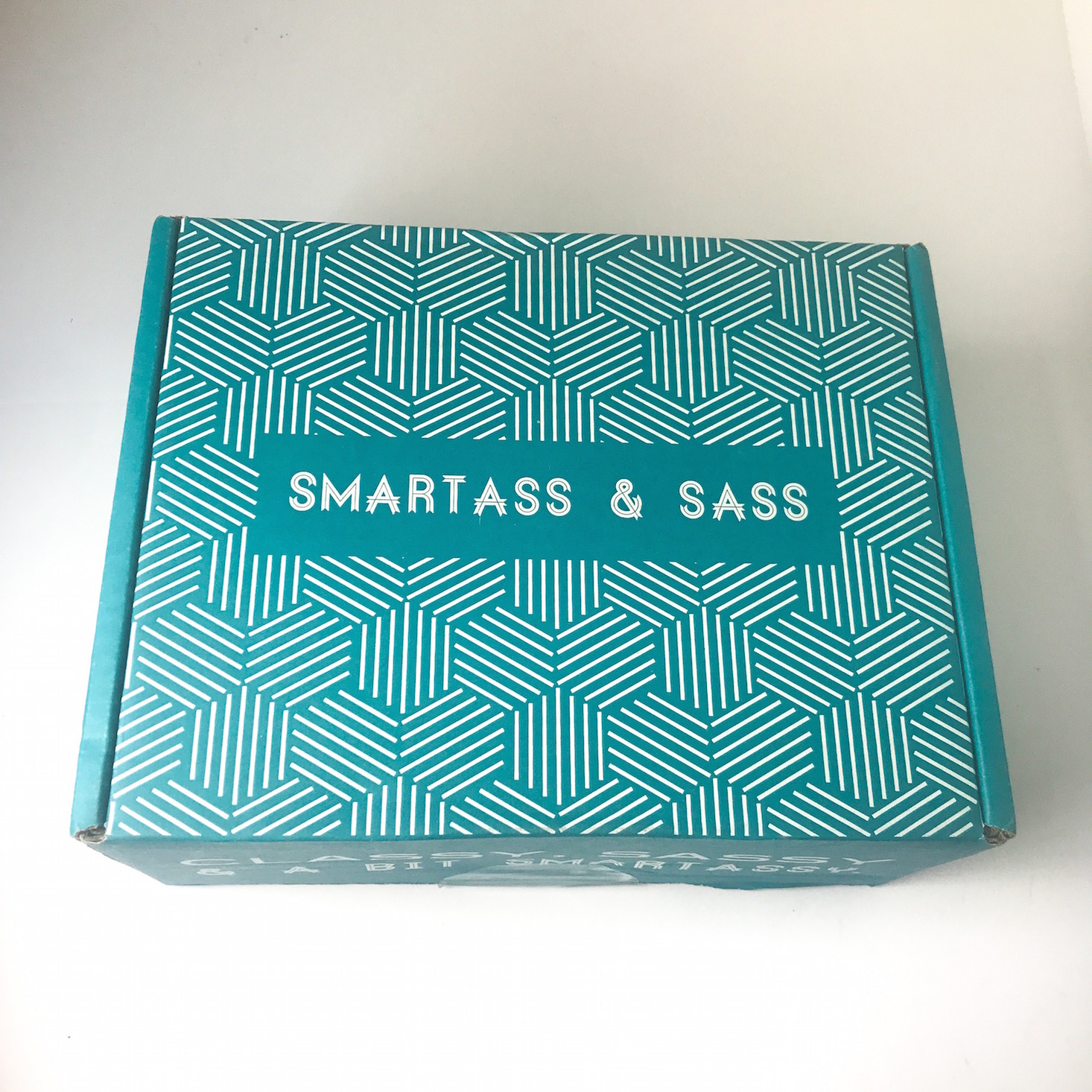 NSFW Smartass and Sass Subscription Review + Coupon – September 2018