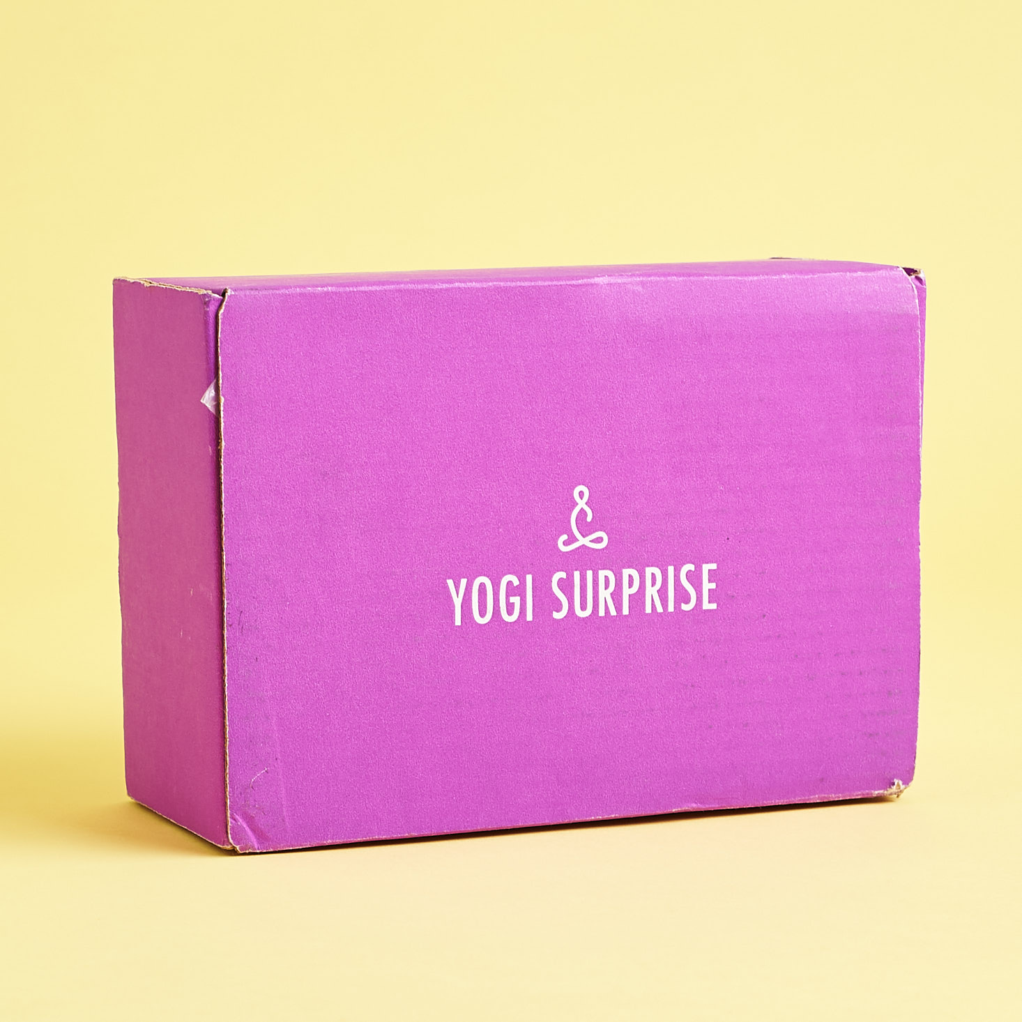 Yogi Surprise Subscription Box Review + BOGO Coupon – September 2018