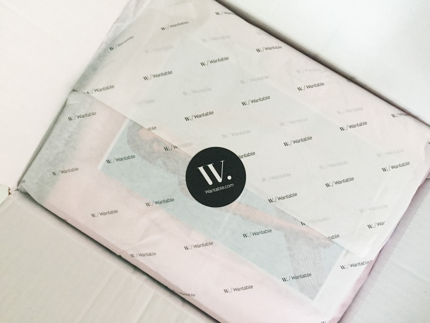 Wantable Plus Fitness Subscription Box Review – September 2018