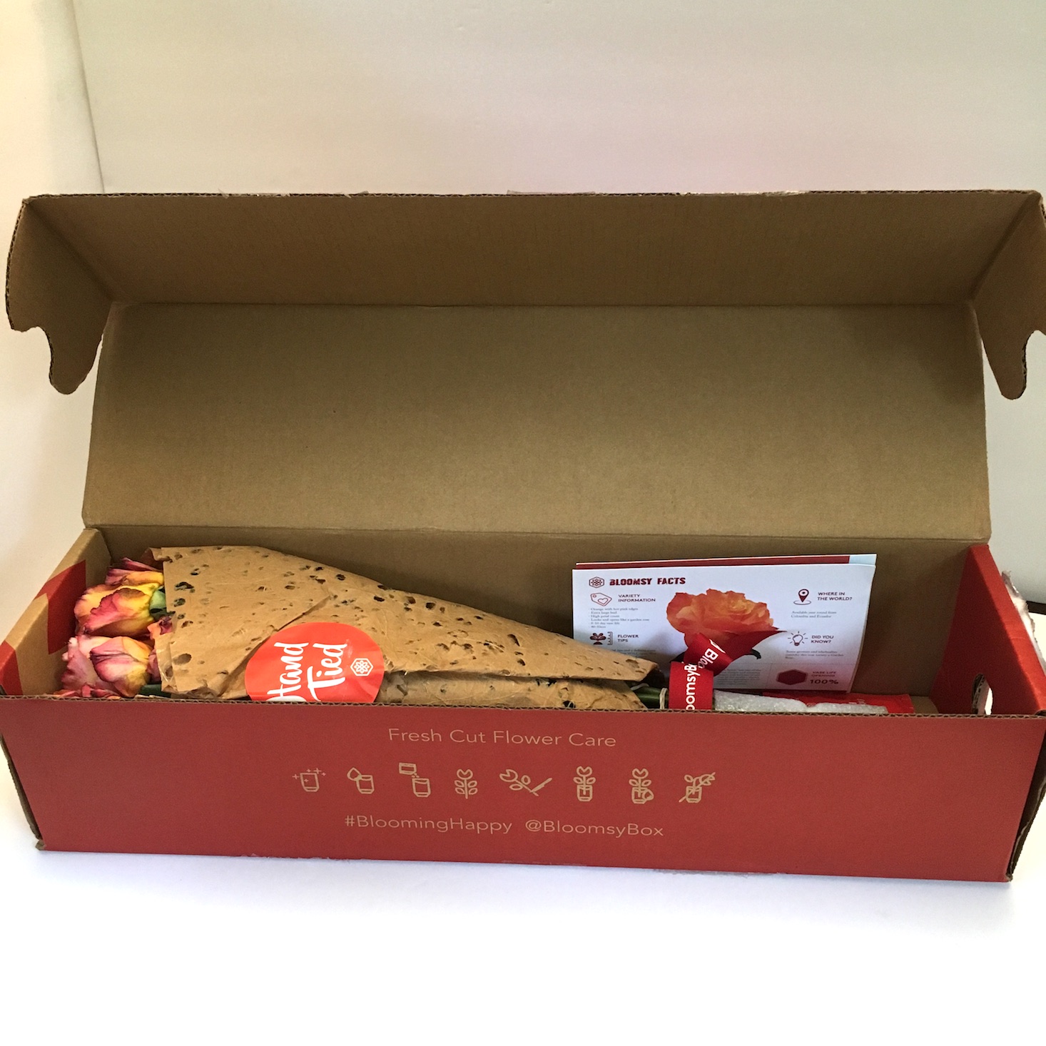 BloomsyBox Subscription Box Review October 2018 MSA