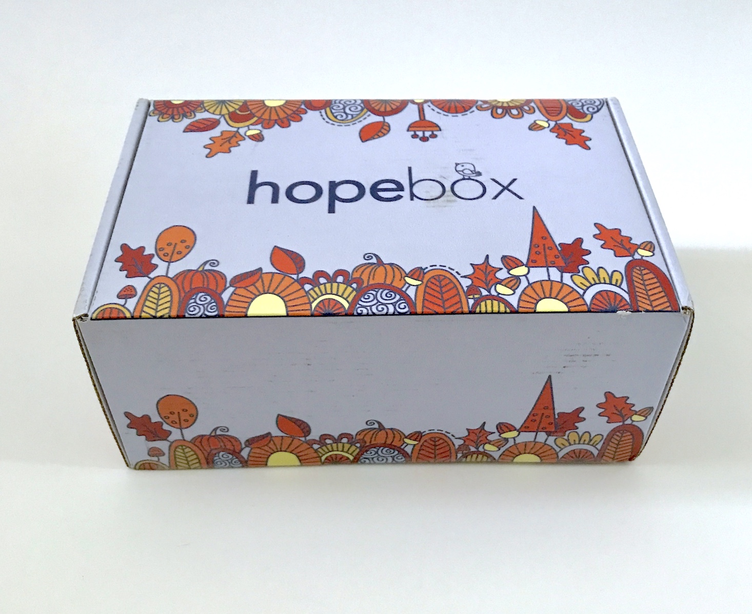 HopeBox Review – October 2018