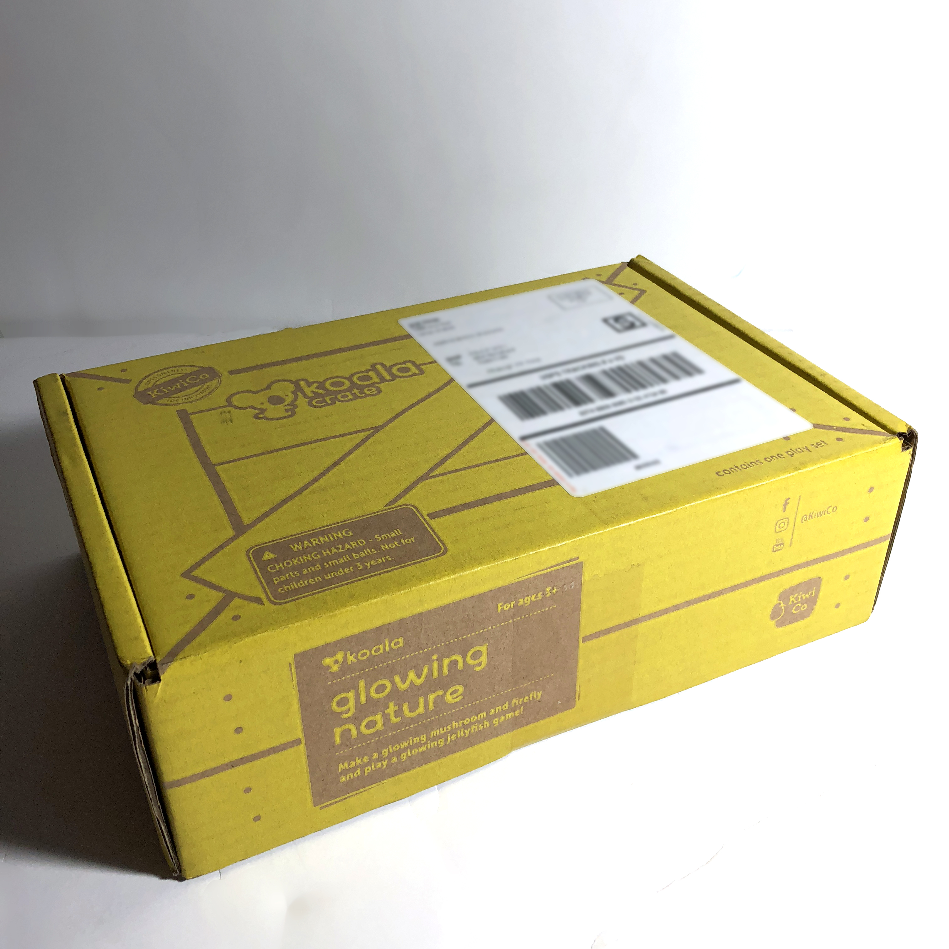 Koala Crate “Glowing Nature” Subscription Box Review + Coupon – September 2018
