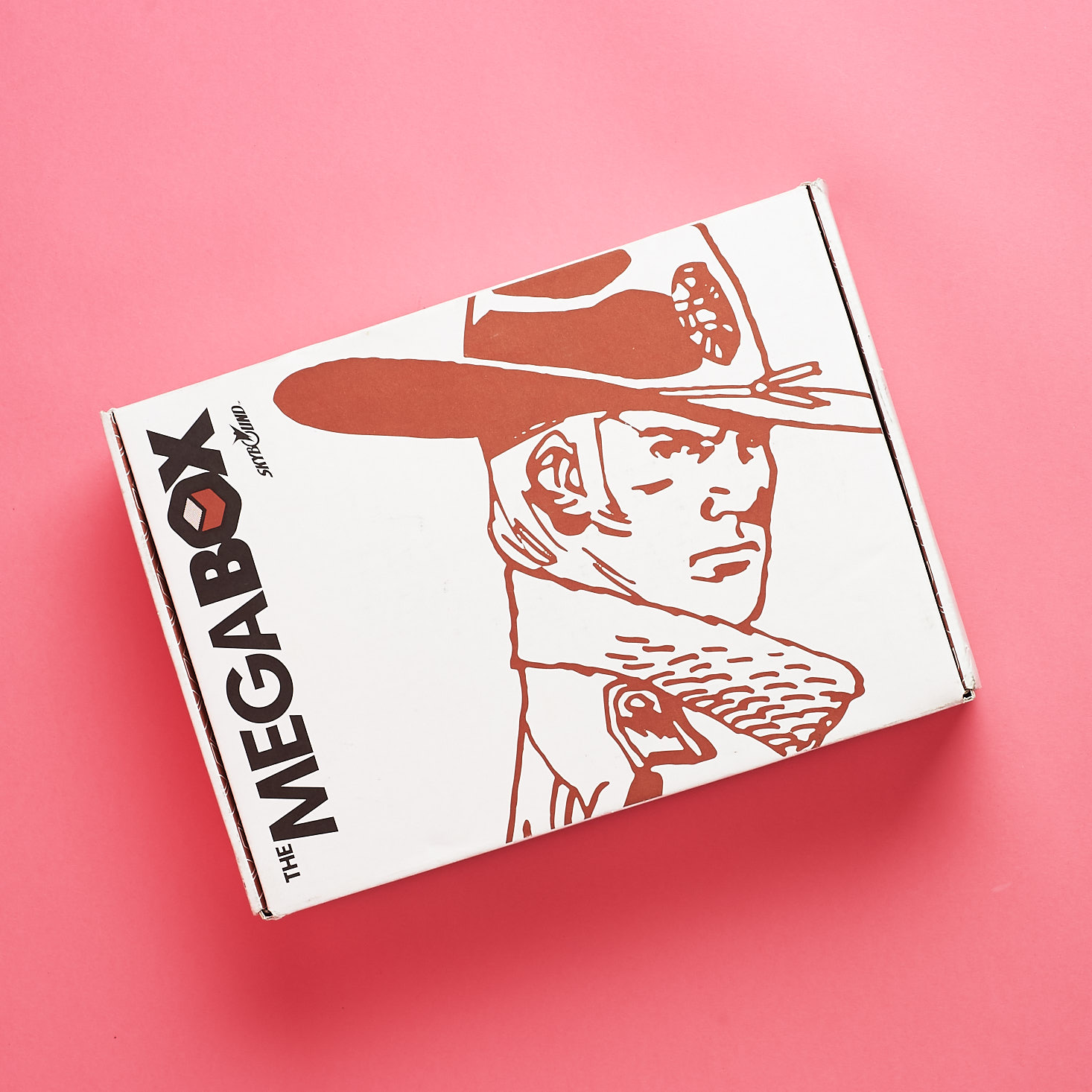 Skybound Megabox Subscription Box Review – Fall 2018