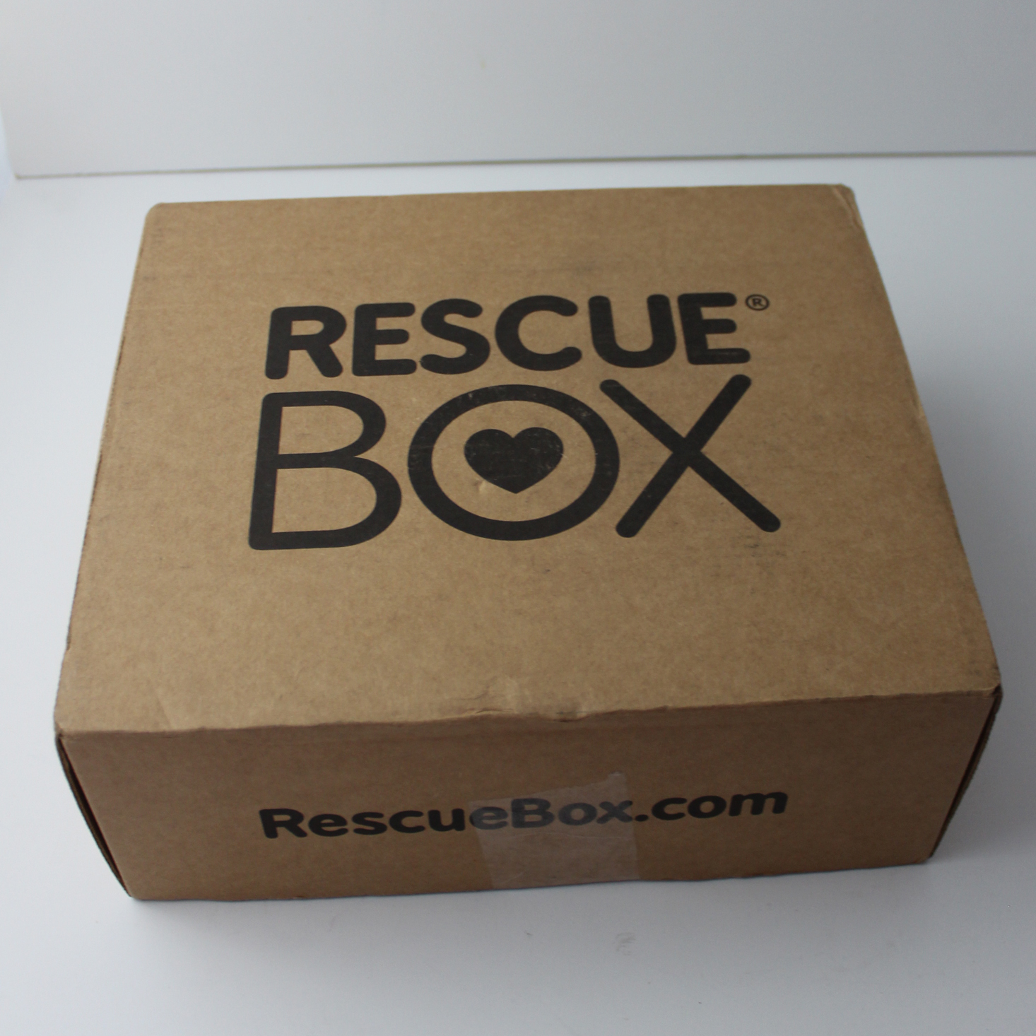 Rescue Box Dog Subscription Review – October 2018