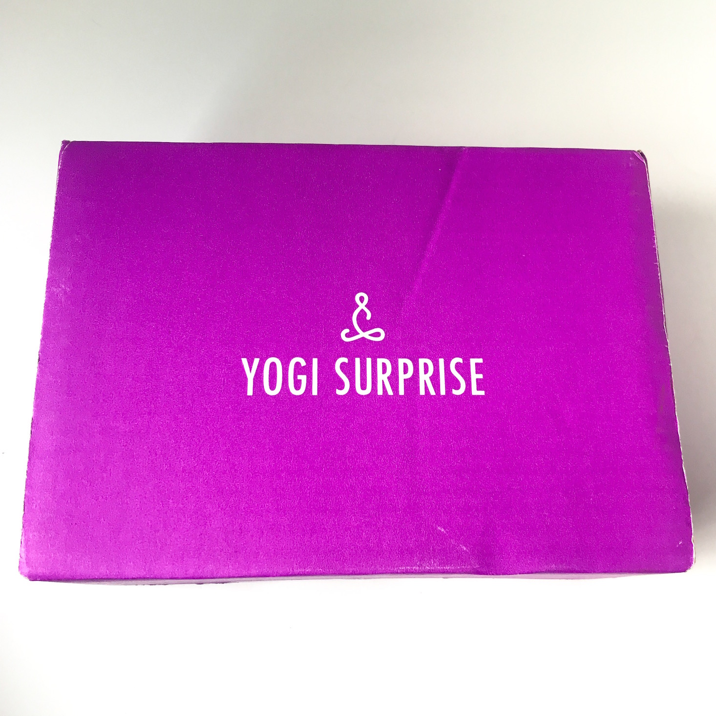 Yogi Surprise Subscription Box Review + Coupon – October 2018