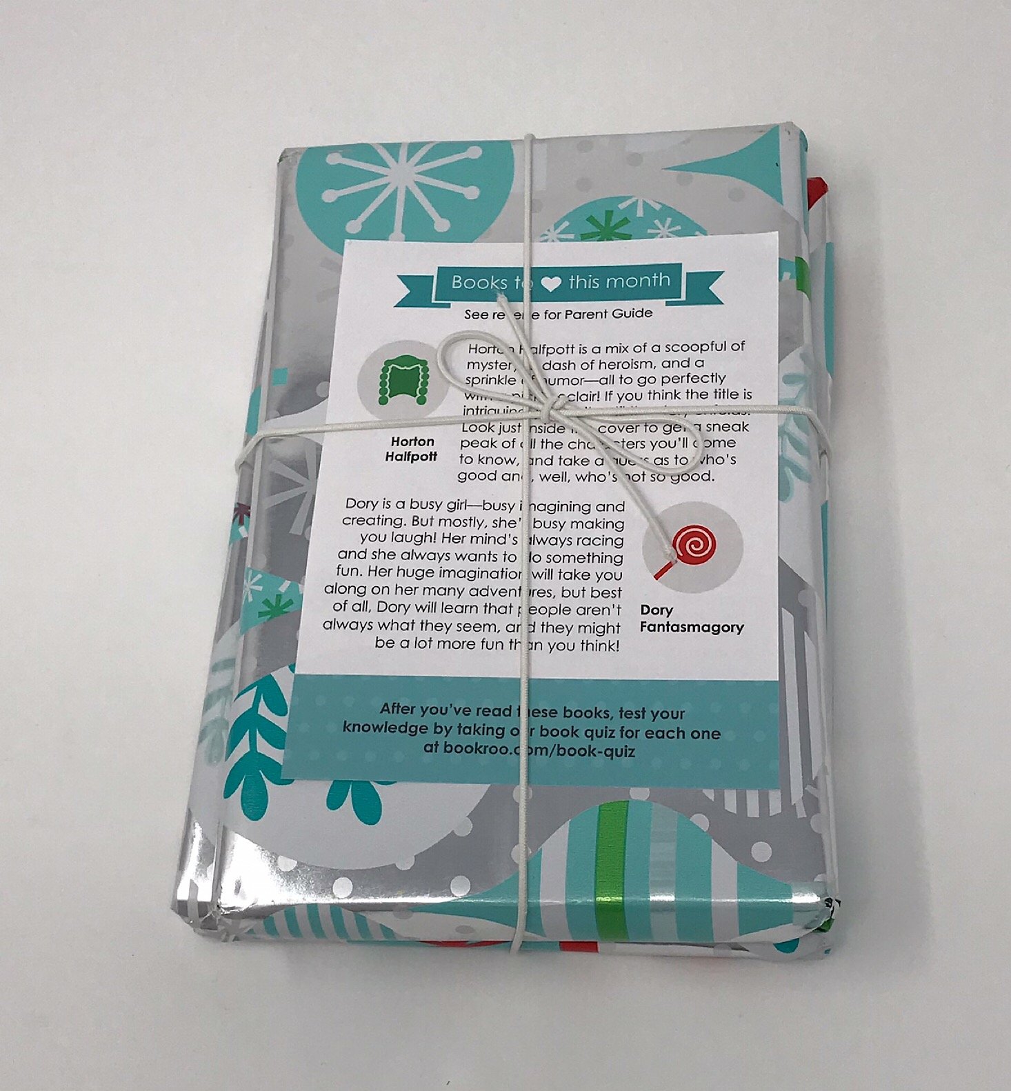 Bookroo Chapter Subscription Box Review + Coupon – November 2018