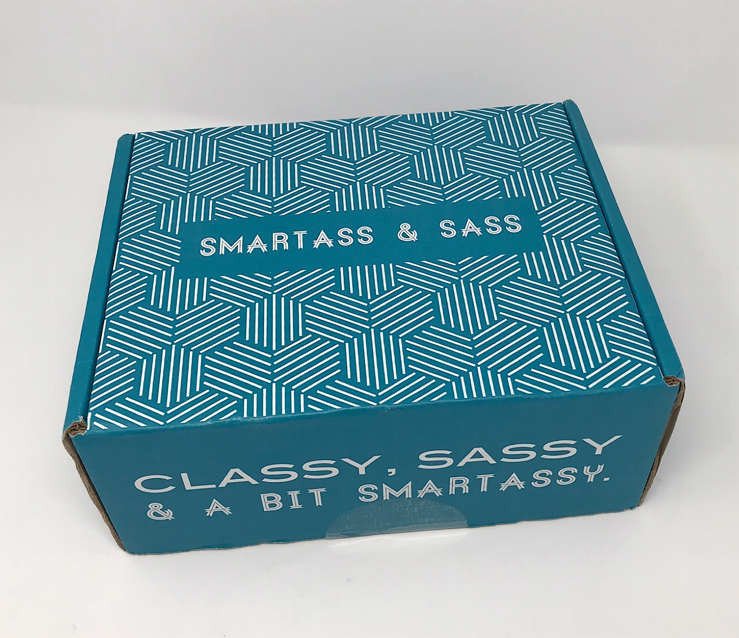 NSFW Smartass and Sass Subscription Review + Coupon – November 2018