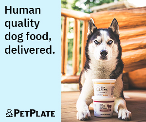 Today Only! PetPlate Coupon – Save 65% Off Your First Box!