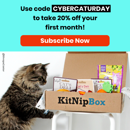 KitNipBox Flash Sale – 20% Off Your First Box!