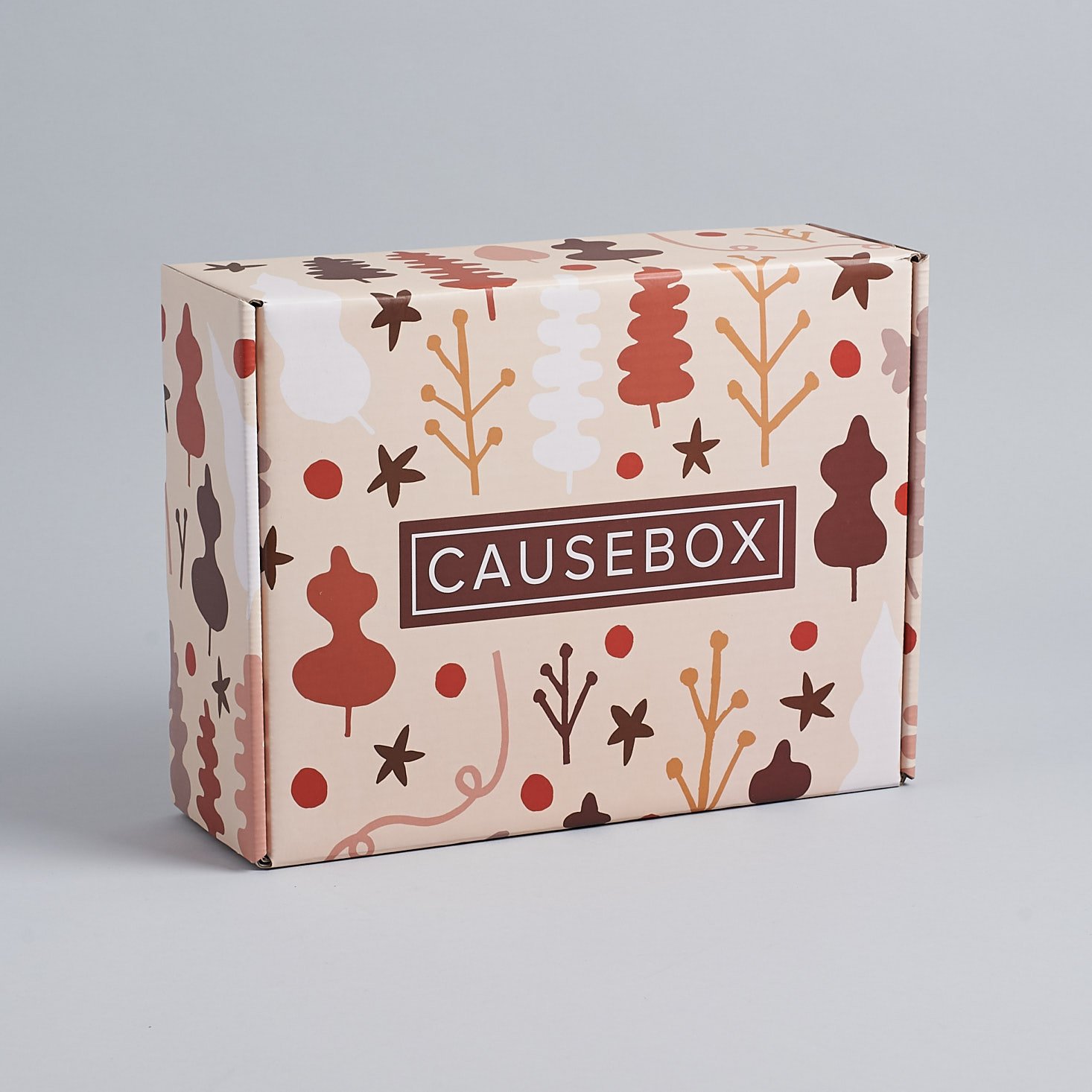 Last Day! CAUSEBOX Cyber Week Deal – $15 Off the Winter Box!