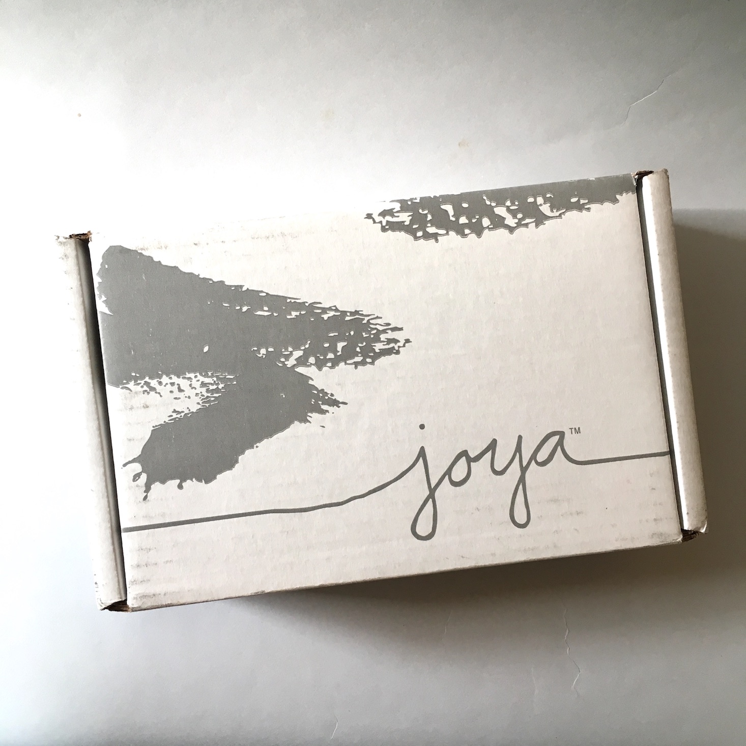 Collections by Joya Jewelry Subscription Review – November 2018