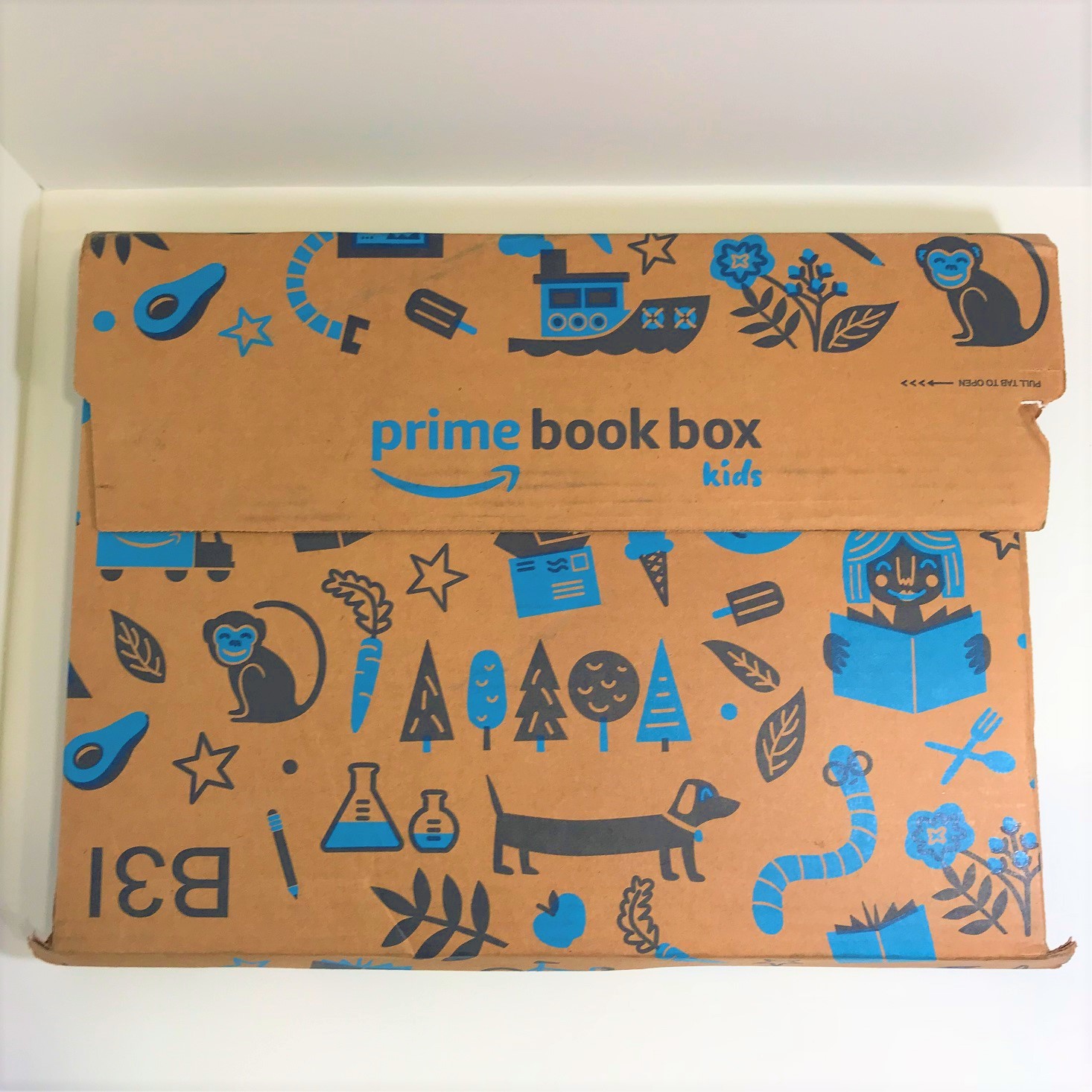 Amazon Prime Kid’s Book Box Review – November 2018