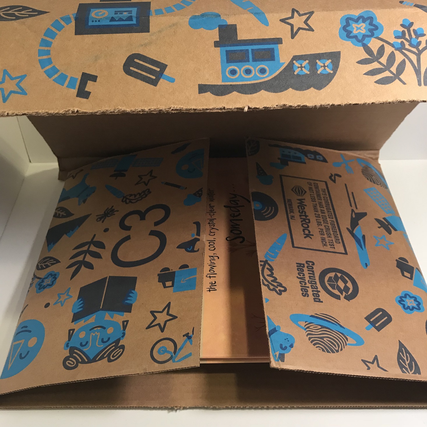 Amazon Prime Kid's Book Box Review November 2018 MSA