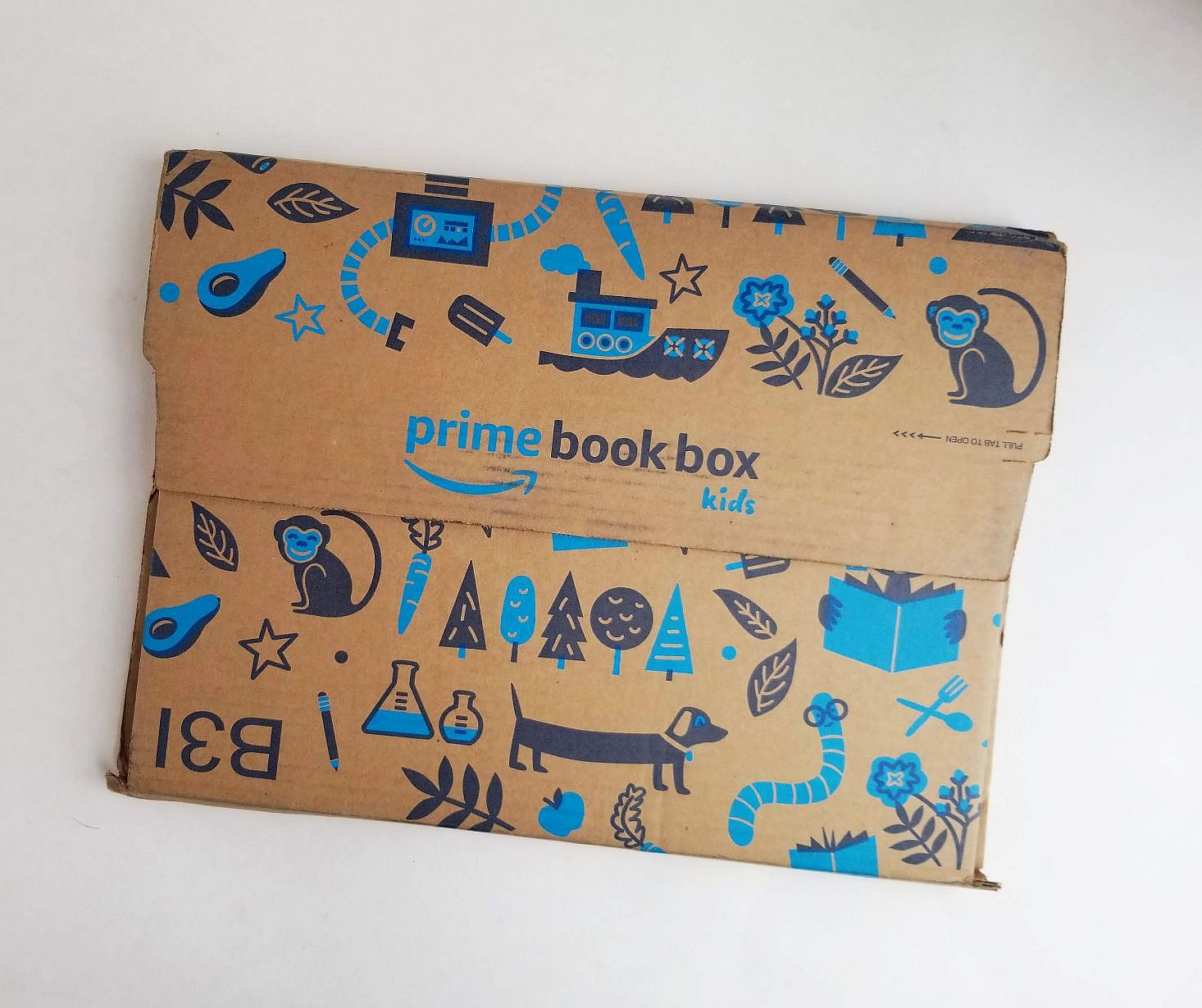 Amazon Prime Books Return at Susan Woods blog