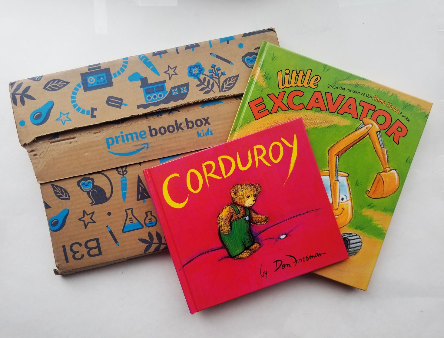 Amazon Prime Book Box, Ages 3-5 Review – November 2018