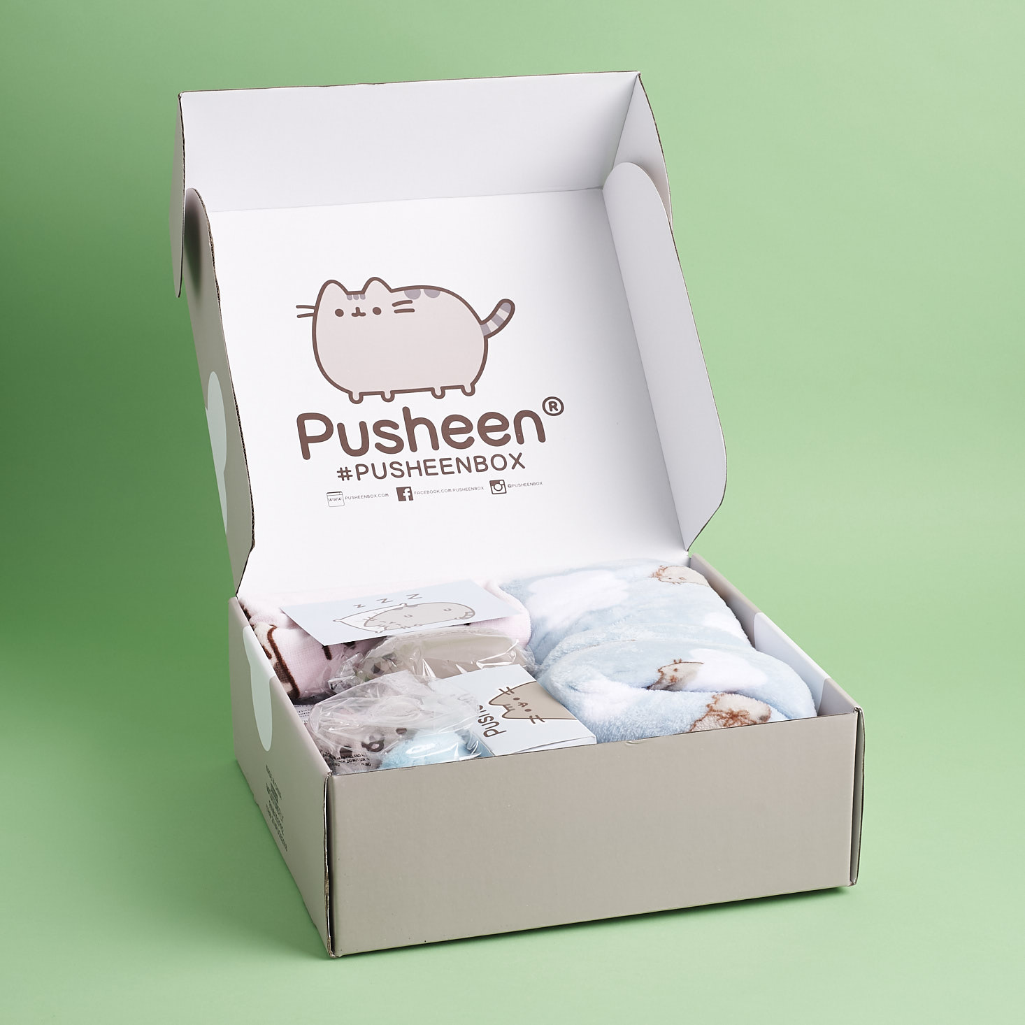 Pusheen Box Subscription Review - Fall 2018 | MSA