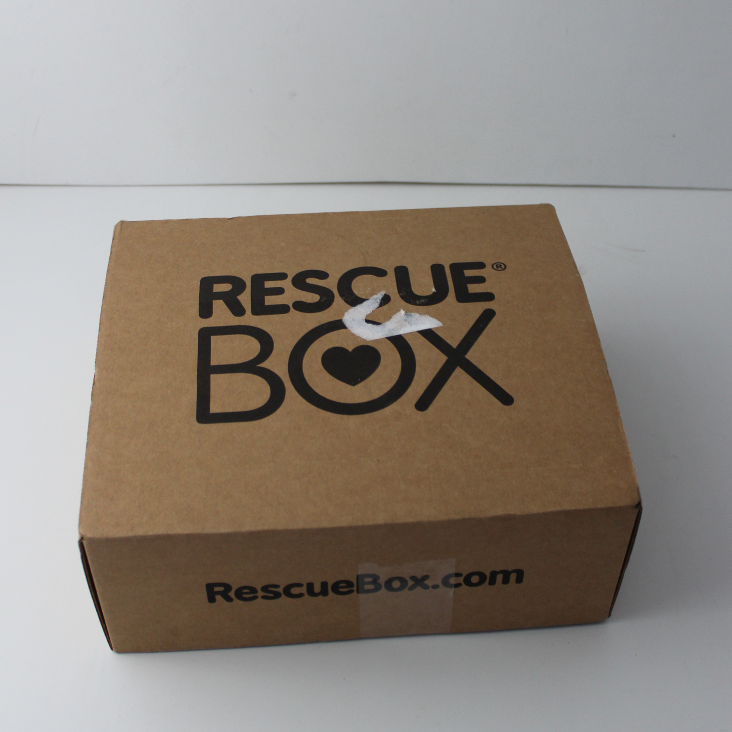 Rescue Box Dog Subscription Review – November 2018
