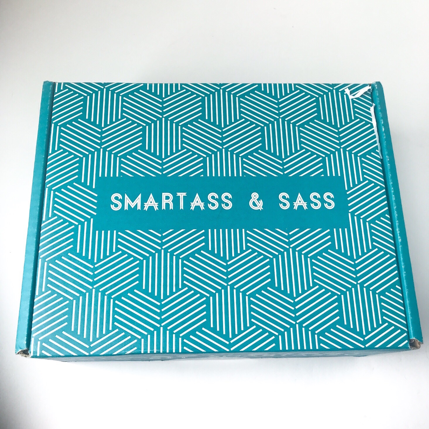 NSFW Smartass and Sass Subscription Review + Coupon – October 2018