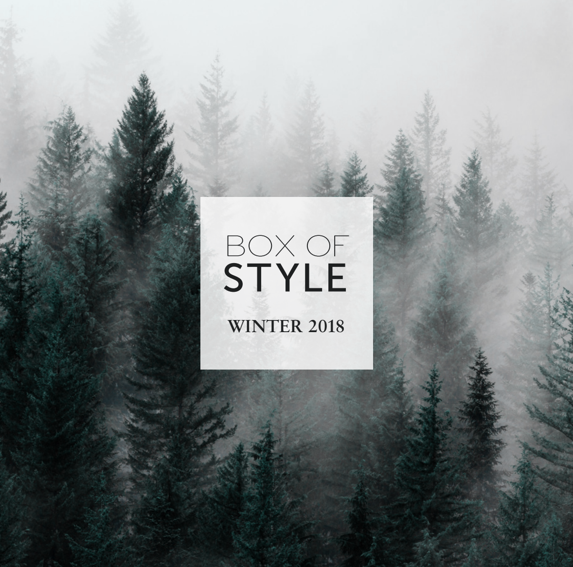 Rachel Zoe Box of Style Winter 2018 Box FULL SPOILERS + Coupon!