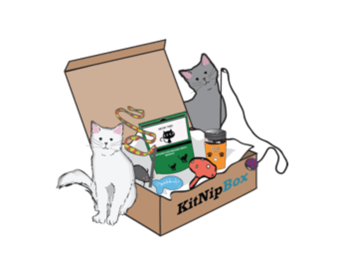 KitNipBox Black Friday Sale – 25% Off Your First Box!
