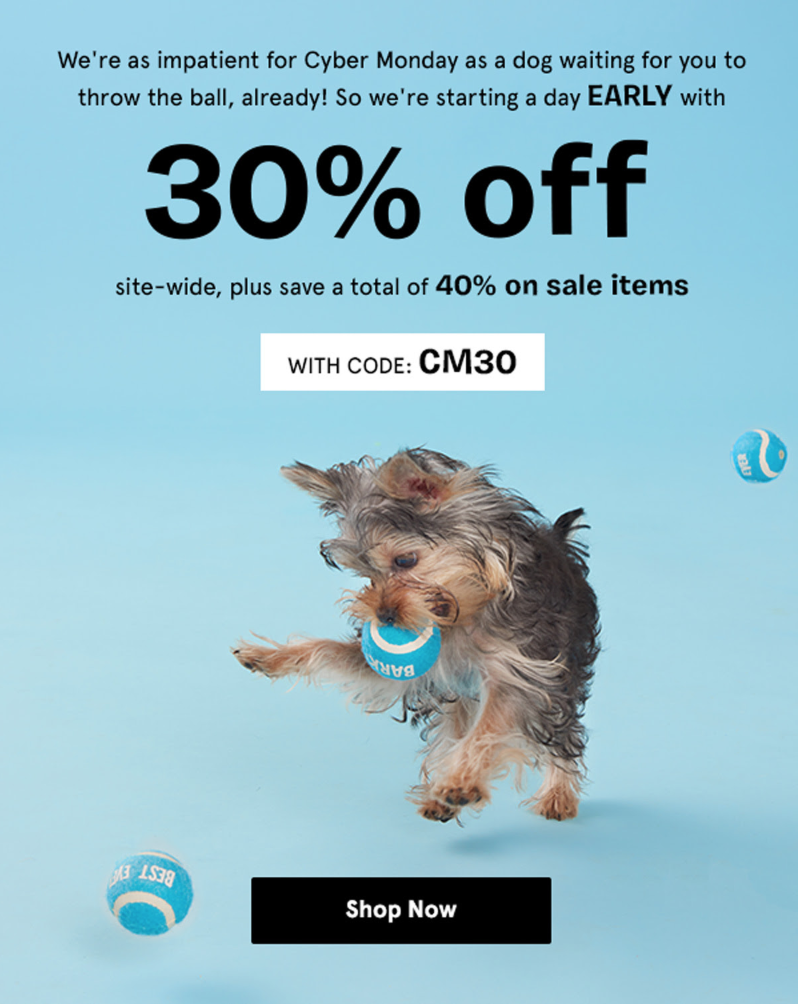 BarkShop Cyber Monday Deal – 30% Off Sitewide