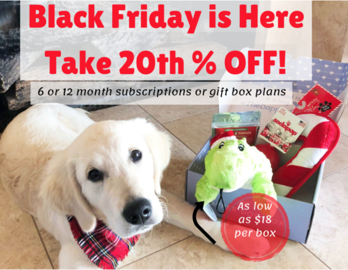 The Dapper Dog Box Black Friday Coupon – 20% Off Subscriptions
