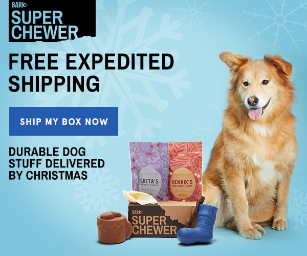 Super Chewer Deal – Free Rush Shipping for 12/24 Delivery
