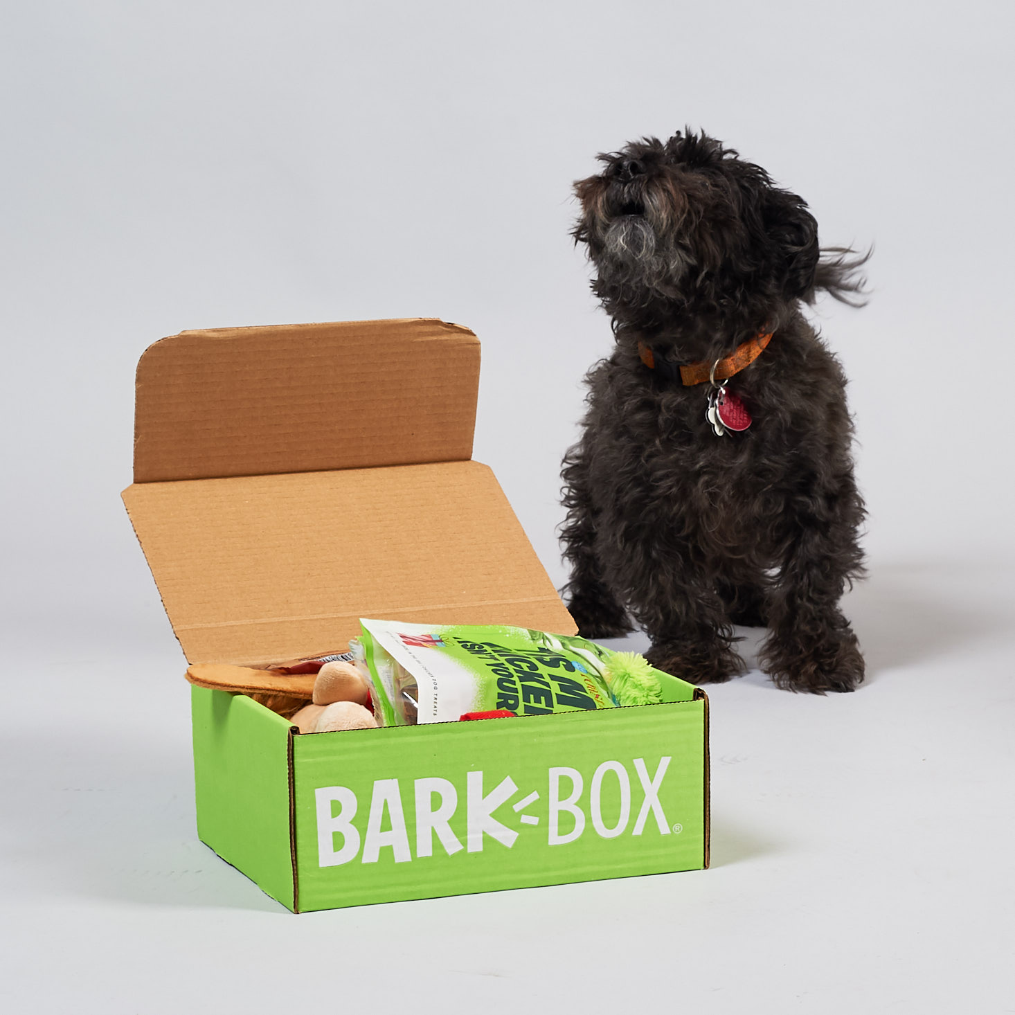 BarkBox Subscription Box Review + Coupon – November 2018