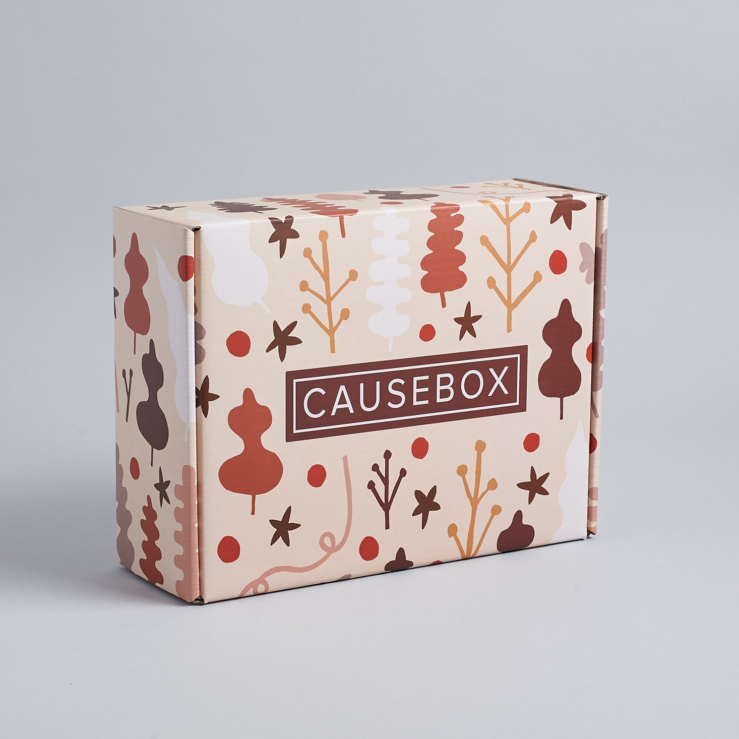 CAUSEBOX Winter 2018 Box Review + Coupon