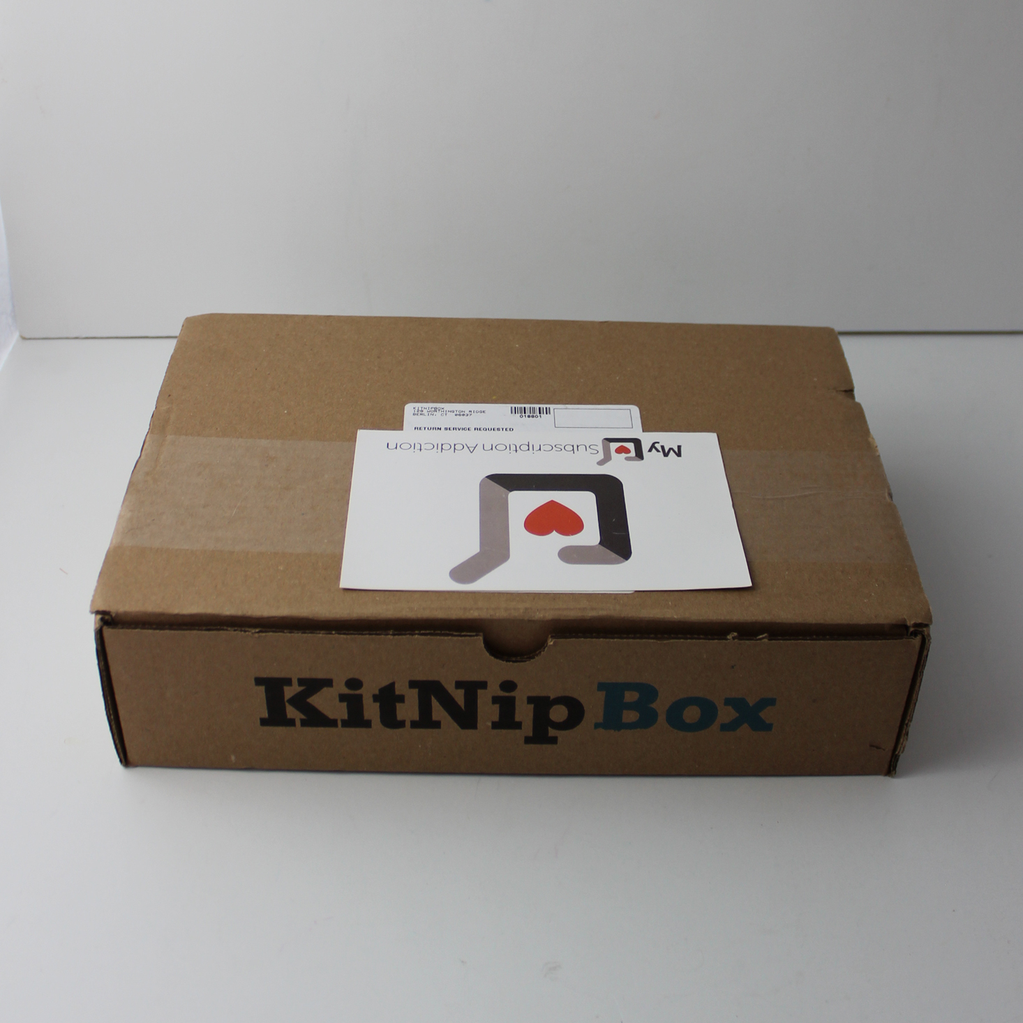 KitNipBox Cat Subscription Review + Coupon – December 2018