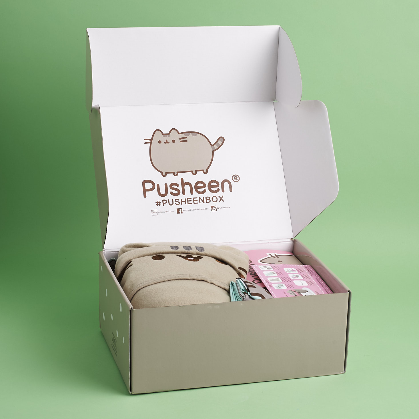 Pusheen Box Subscription Review - Winter 2018 | MSA