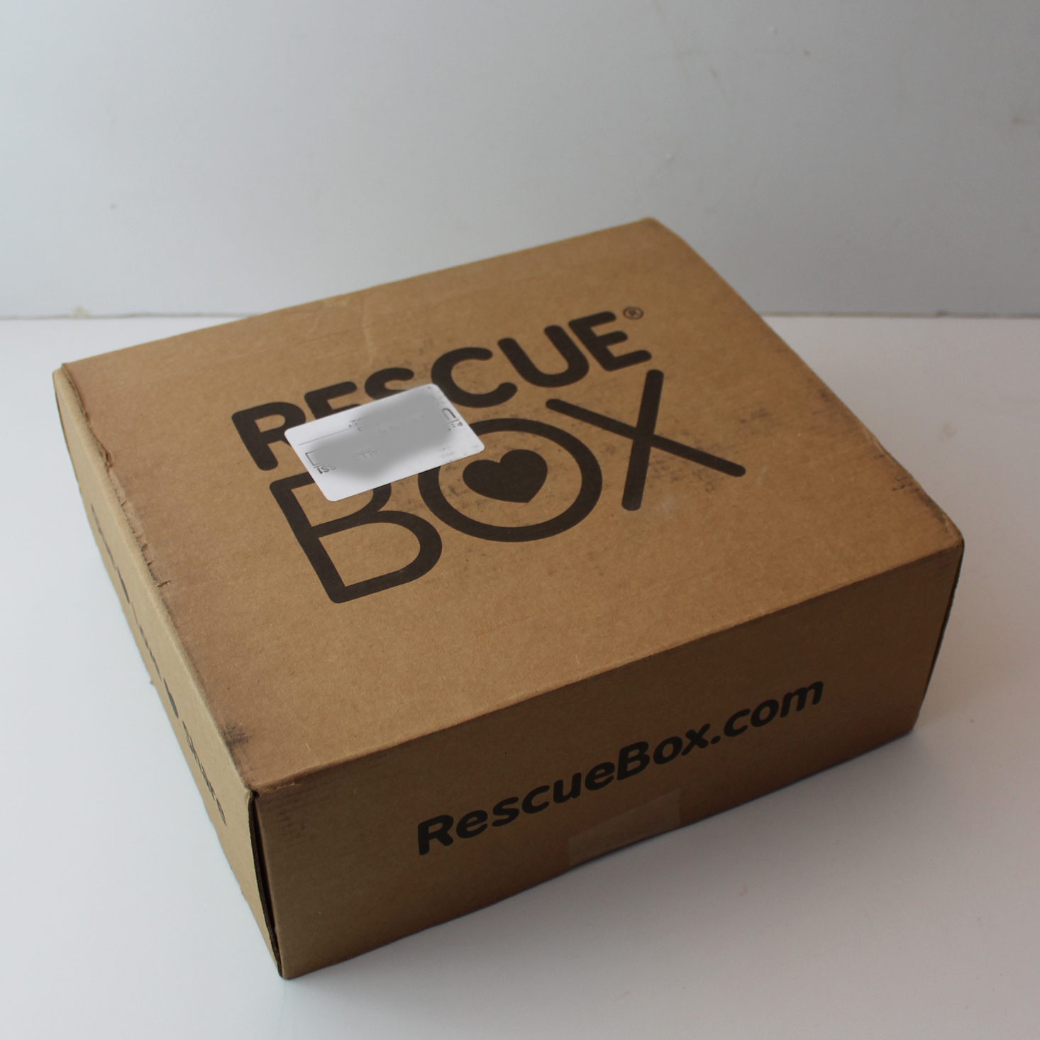 Rescue Box Dog Subscription Review – December 2018