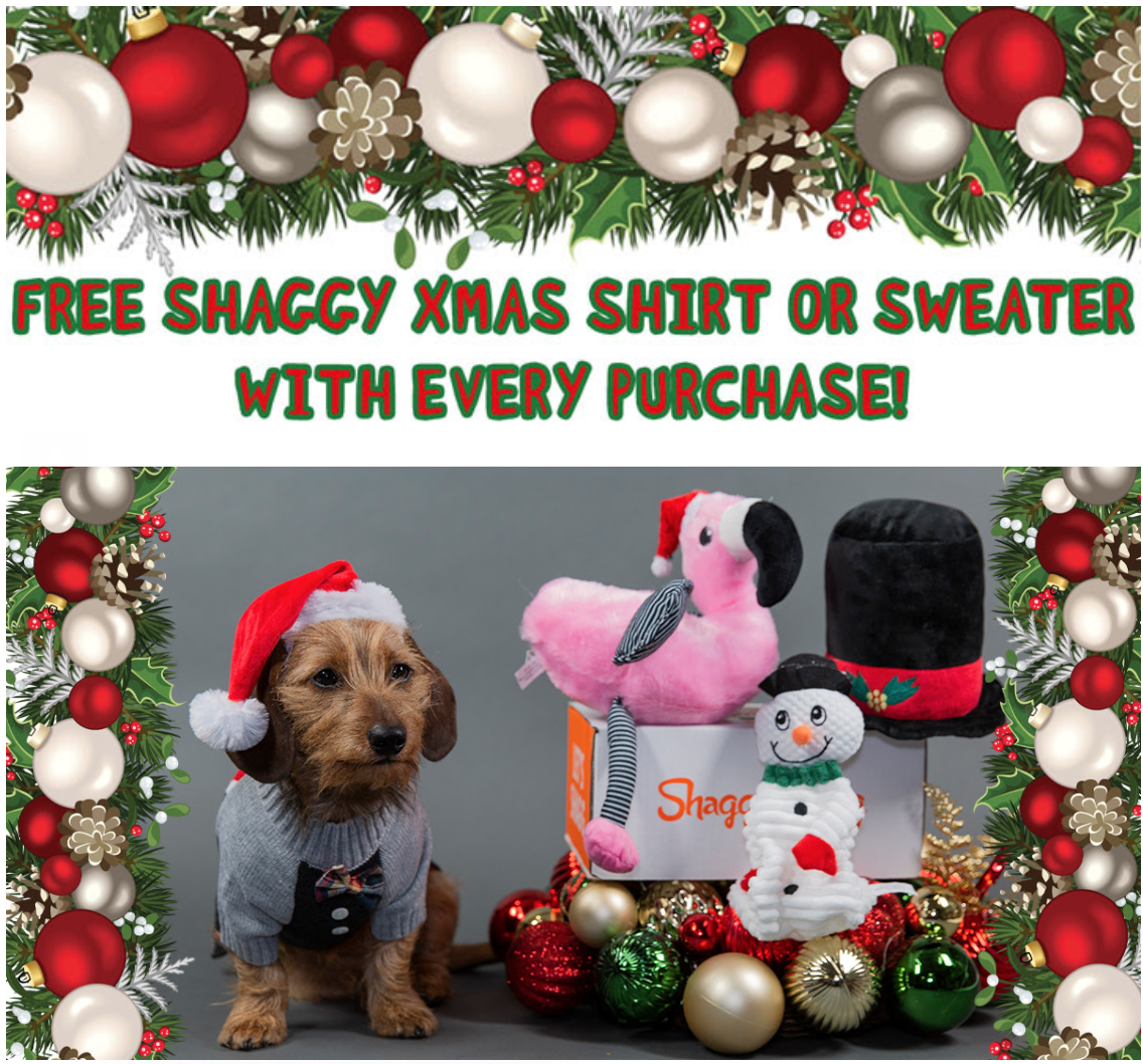 ShaggySwag Coupon – Free Christmas Sweater with Subscription!