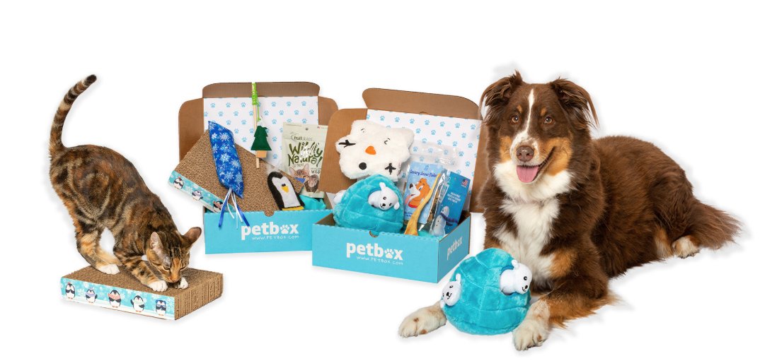 PetBox Coupon – 50% Off Your First Box!