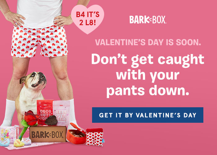 BarkBox Limited Edition Valentine’s Day Theme Available Now!