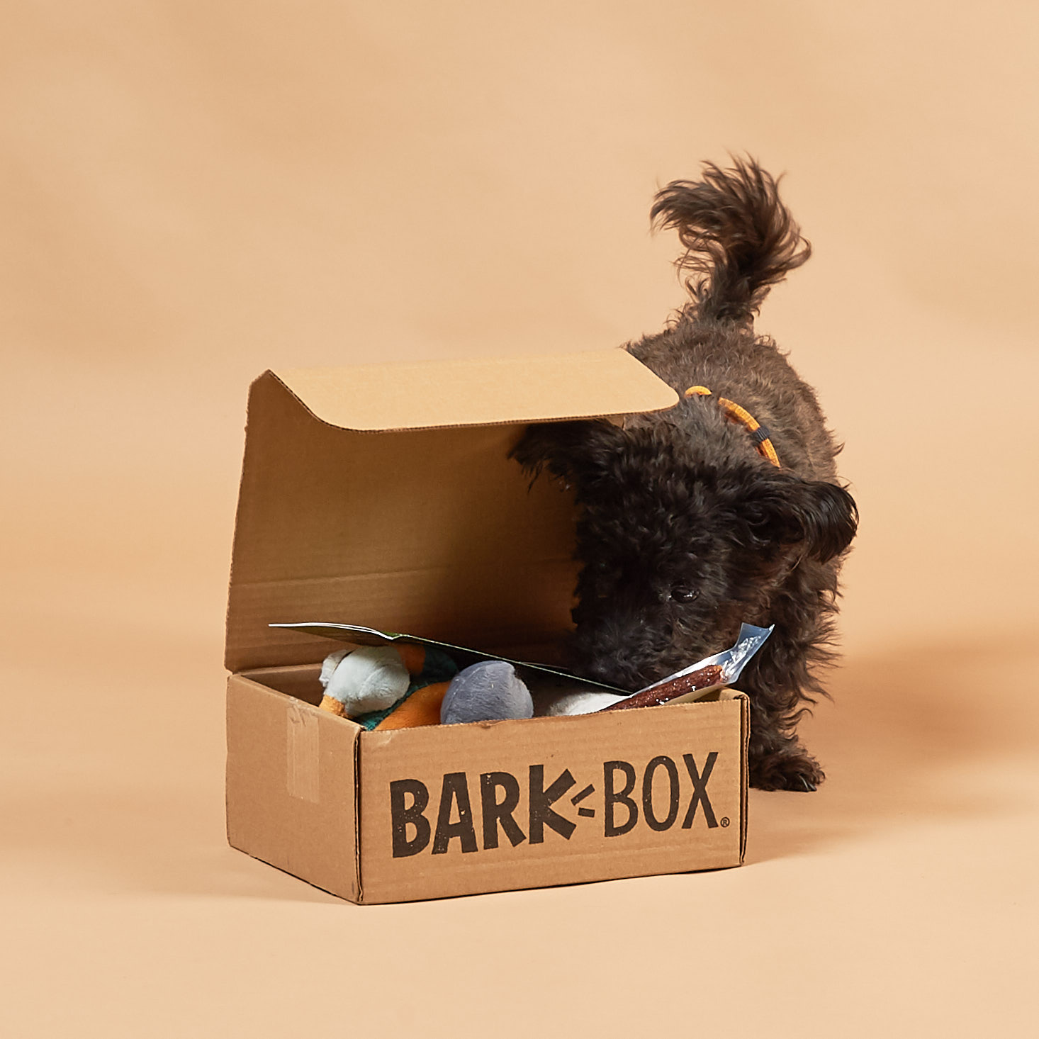 BarkBox Subscription Box Review + Coupon – December 2018